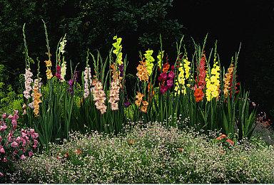 《真女神转生5：复仇》拥有全新故事路线 时长超75个小时